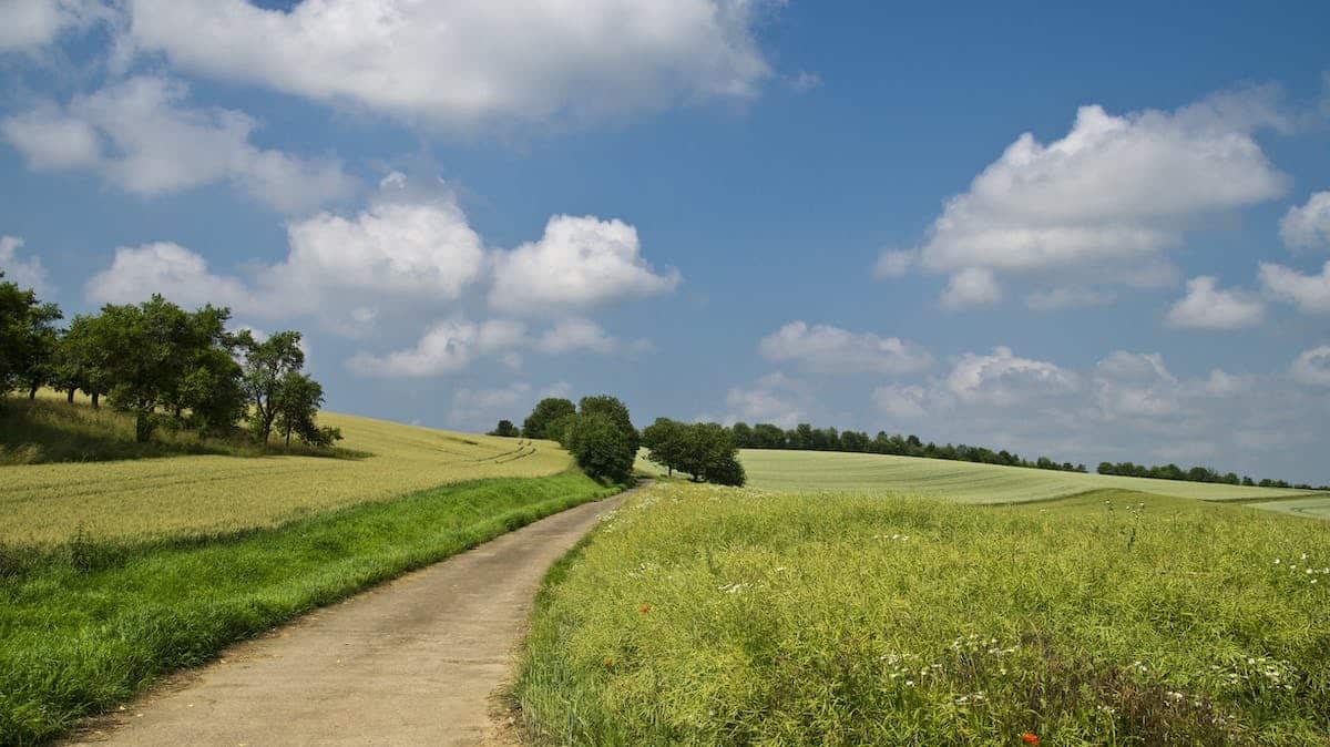 responsabilité environnementale